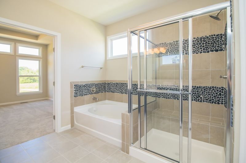 Elegant Shower Designs